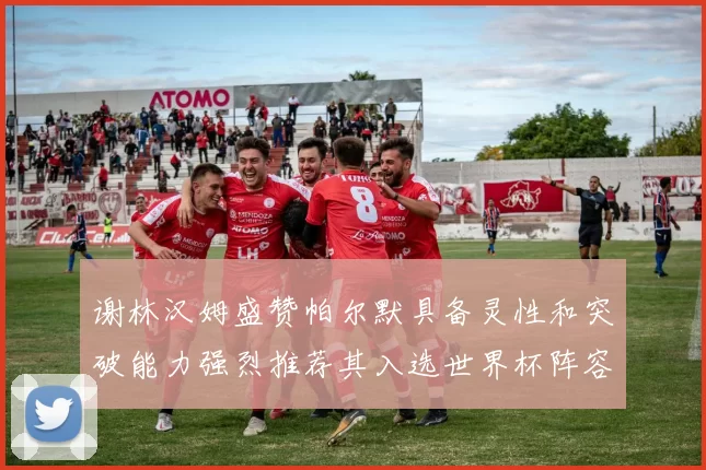 谢林汉姆盛赞帕尔默具备灵性和突破能力强烈推荐其入选世界杯阵容